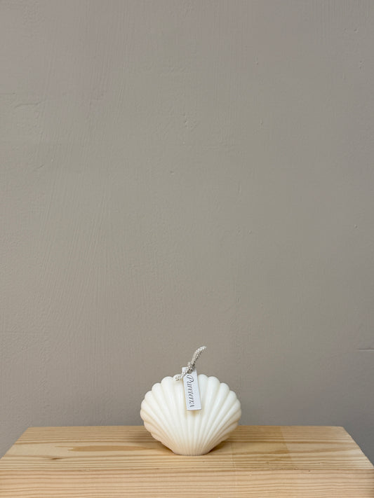 Shell